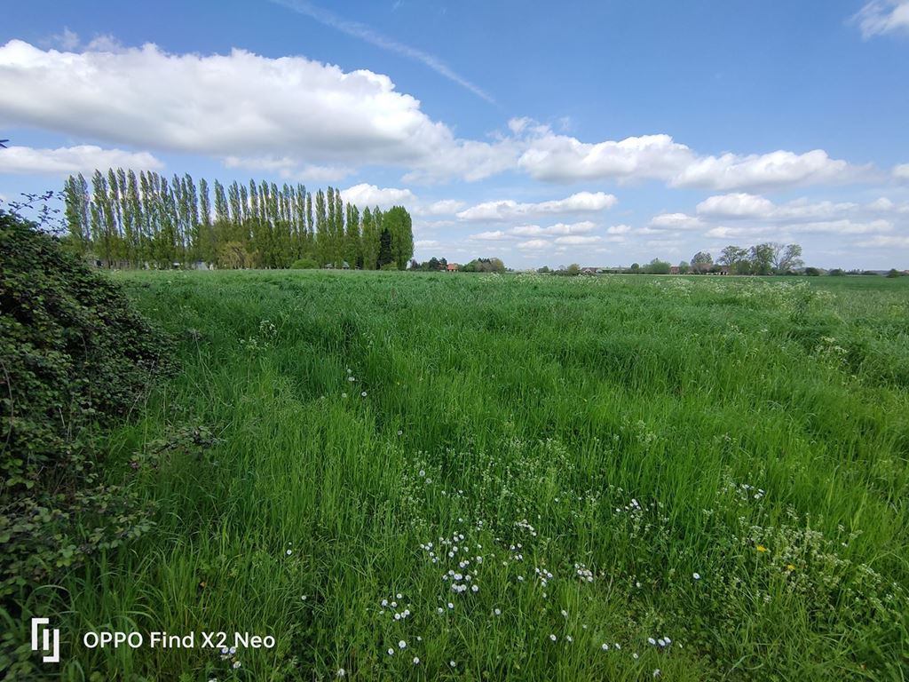 Corps de ferme HOUPLINES 410000€ VERLINGHEM IMMOBILIER